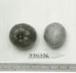 Click for 1 image(s) for this accession. FRUIT